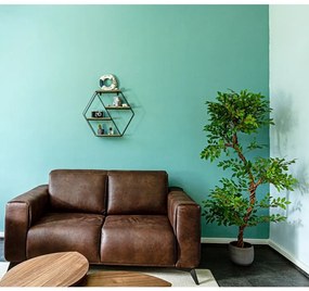 STILISTA Raft hexagonal de perete,lemn deschis 51x58x11 cm