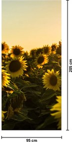 Fototapet pentru ușă - Câmpul cu floarea soarelui (95x205cm)