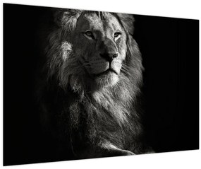 Tablou - Leu (90x60 cm)