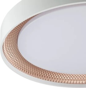 Brilliant - Plafonieră LED dimabilă WALDO LED/24W/230V alb/aur roz + telecomandă