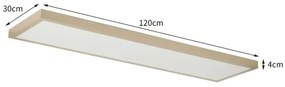 Brilagi-LED Aplica LED de baie dimabilă FRAME SMART LED/50W/230V 120x30 IP44 + telecomandă