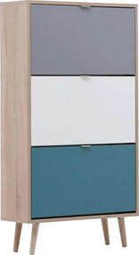 Finori Dulap de pantofi "C-uba 42", stejar sonoma și tricolor