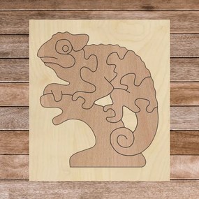 SENTOP | Bicolor insert montessori din lemn pentru copii - CAMELEON FAG| SENTOP
