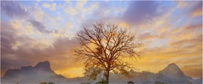 Tablou - Peisaj cu floarea soarelui (120x50 cm)