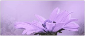 Tablou - Flori mov (120x50 cm)