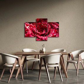 Tablou cu floarea trandafirului roșu (90x60 cm)