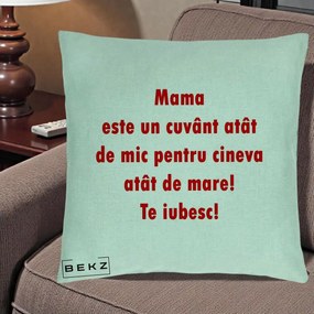 Cadou pentru Mama - Perna Personalizata Mama Cuvant Mic, 40x40 cm, Verde Menta, Husa Detasabila, Perna Inclusa, BEKZ®
