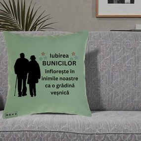 Cadou pentru Bunici - Perna Personalizata Bunicii Iubirea Infloreste Silueta Neagra Flori, 40x40 cm, Verde, Husa Detasabila, Perna Inclusa, BEKZ®