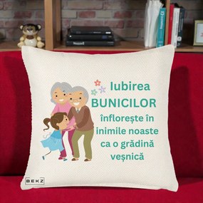 Cadou pentru Bunici - Perna Personalizata Bunicii Iubirea Infloreste cu Nepoata Teal, 40x40 cm, Crem Reliefat, Husa Detasabila, Perna Inclusa, BEKZ®