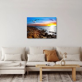 Tablou pe sticlă - Pescărușul zboară deasupra coastei (70x50 cm)