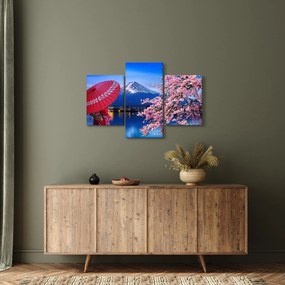 Tablou - cu privire la munte - Japonia (90x60 cm)