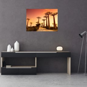Tablou pe sticlă - Apus de soare pe Aleea Baobabilor (70x50 cm)