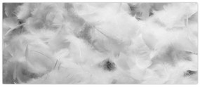 Tablou - Nori de pene (120x50 cm)