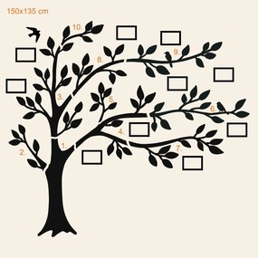 DUBLEZ | Arbore genealogic cu poze (10 rame foto)