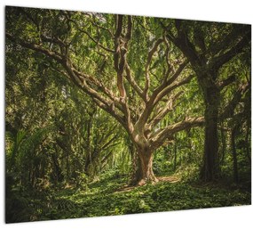 Tablou cu copaci (70x50 cm), în 40 de alte dimensiuni noi