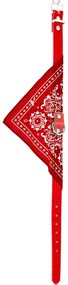 Zgardă cu eșarfă pentru câini, Koopman, 37 cm, culoarea roșu