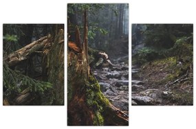 Tablou - În pădure (90x60 cm)