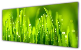 Tablouri acrilice Weed Natura verde