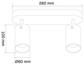 Spot SMOKY 2xGU10/10W/230V negru
