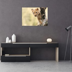 Tablou pe sticlă cu pui de leu (70x50 cm)