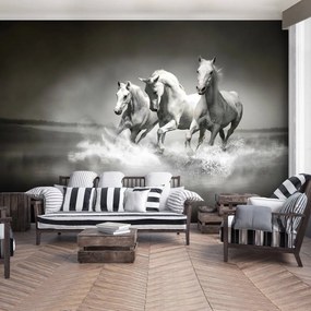 Fototapet - Caii (152,5x104 cm)