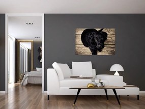 Tablou cu cățeluș negru (90x60 cm)
