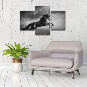 Tablou - Cal alb și negru (90x60 cm)