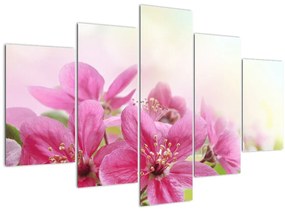 Tablou - Flori roz (150x105 cm)