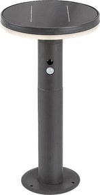 Stalp LED solar cu senzor iluminat exterior IP44 Alaska