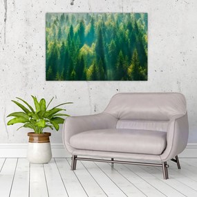 Tablou - Pădurea de brazi (90x60 cm)