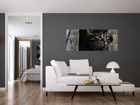 Tablou cu pisicuța (120x50 cm)