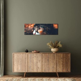 Tablou - Privirea pisicii (cu ceas) (90x30 cm)