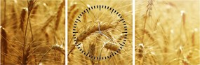 Tablou - Spice de cereale (cu ceas) (90x30 cm)