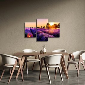 Tablou cu câmp de lavandă, Provincie (90x60 cm)