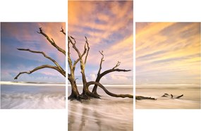 Tablou - Copacul în ocean (90x60 cm)