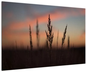 Tablou - Silueta plantei (90x60 cm)