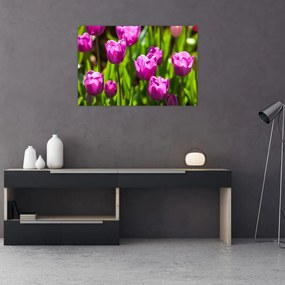 Tablou cu lale pe luncă (90x60 cm)