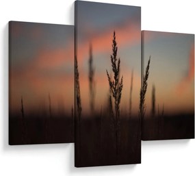 Tablou - Silueta plantei (90x60 cm)