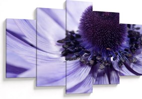 Tablou - Floare mov (150x105 cm)