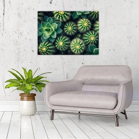 Tablou pe sticlă - Cactuși (70x50 cm)