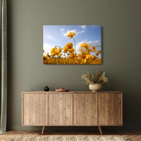 Tablou - Câmp cu flori galben deschis (90x60 cm)