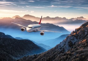 Fototapet - Avion în panoramă (147x102 cm)