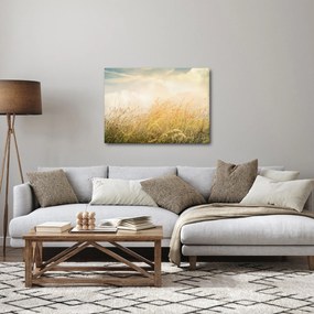 Tablou - Câmp toamna (70x50 cm)