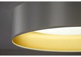 Plafonieră LED Duolla ROLLER LED/24W/230V d. 45 cm argintiu/auriu