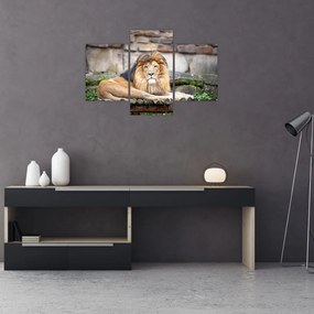 Tablou cu leu (90x60 cm)