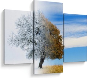 Tablou - Schimbarea anotimpurilor (90x60 cm)