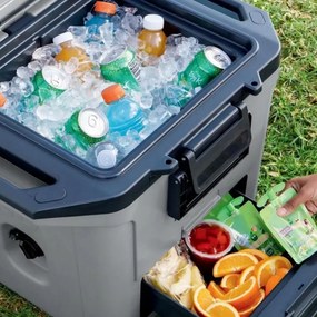Lada frigorifica Ninja FrostVault FB131EUGY, 28 l, Pasiva, 48 doze, Pastreaza gheata pana la 5 zile, Compartiment uscat, Gri