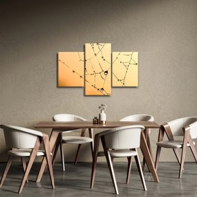Tablou cu pânză de pâianjen cu rouă (90x60 cm)