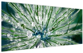 Tablou - Imagine macro a unei flori (120x50 cm)