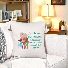 Cadou pentru Bunici - Perna Personalizata Bunicii Iubirea Infloreste cu Nepoata Teal, 40x40 cm, Bej cu Franjuri, Husa Detasabila, Perna Inclusa, BEKZ®